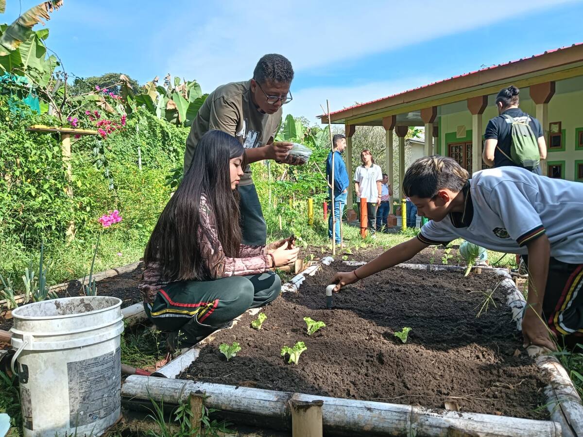 Aulas vivas y huertas escolares en escuelas rurales del Quindío acompañadas por la Uniquindío