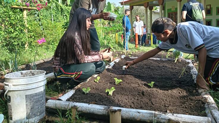 Informe huertas escolares en Quindío