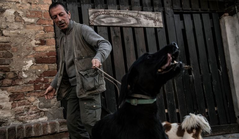 ¡Insólito! ciudad prohíbe pasear perros en espacios públicos