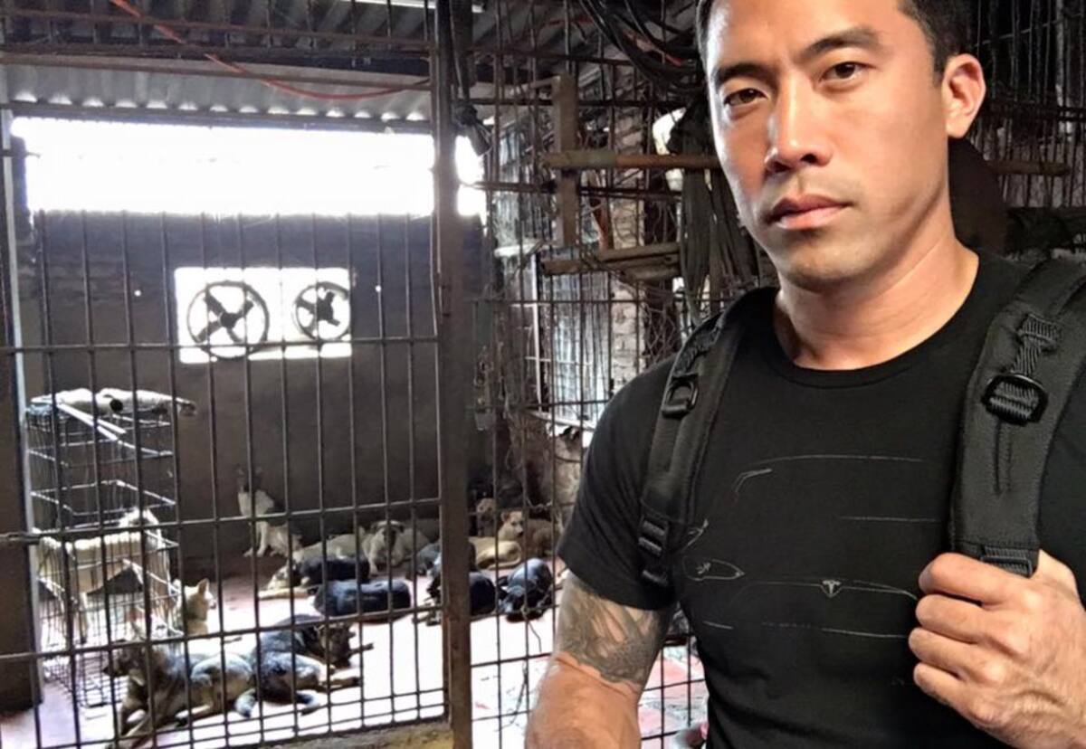 Este Festival ha generado polémica en las personas y defensores de animales, ya que los asistentes compran los perros vivos, para sacrificarlos y cocinarlos. 