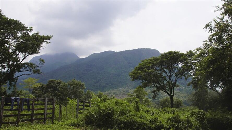 Parcelación de tierras - Imagen de referencia. Foto: Colprensa