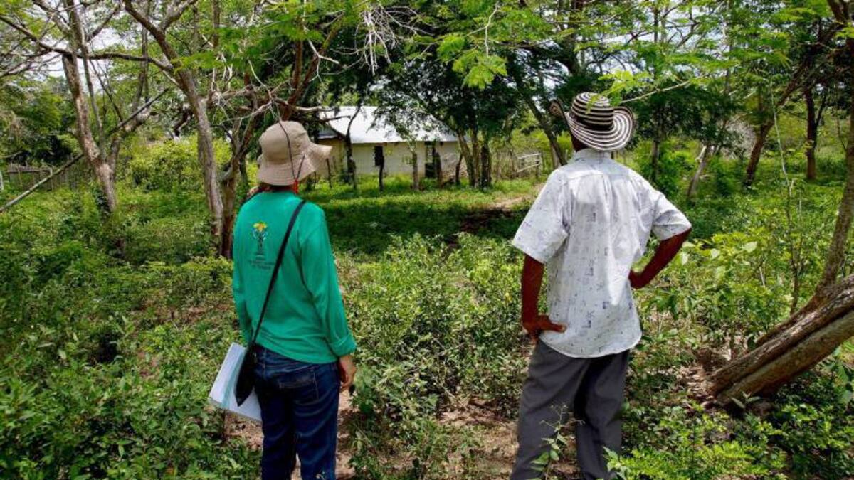 Unidad de Restitución de Tierras denuncia presunta corrupción en la entidad