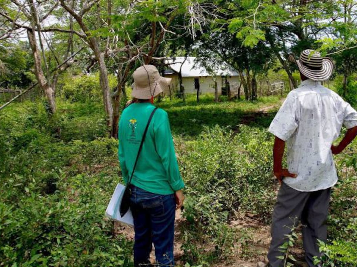 Más de 1.500.000 hectáreas solicitadas en restitución para campesinos despojados