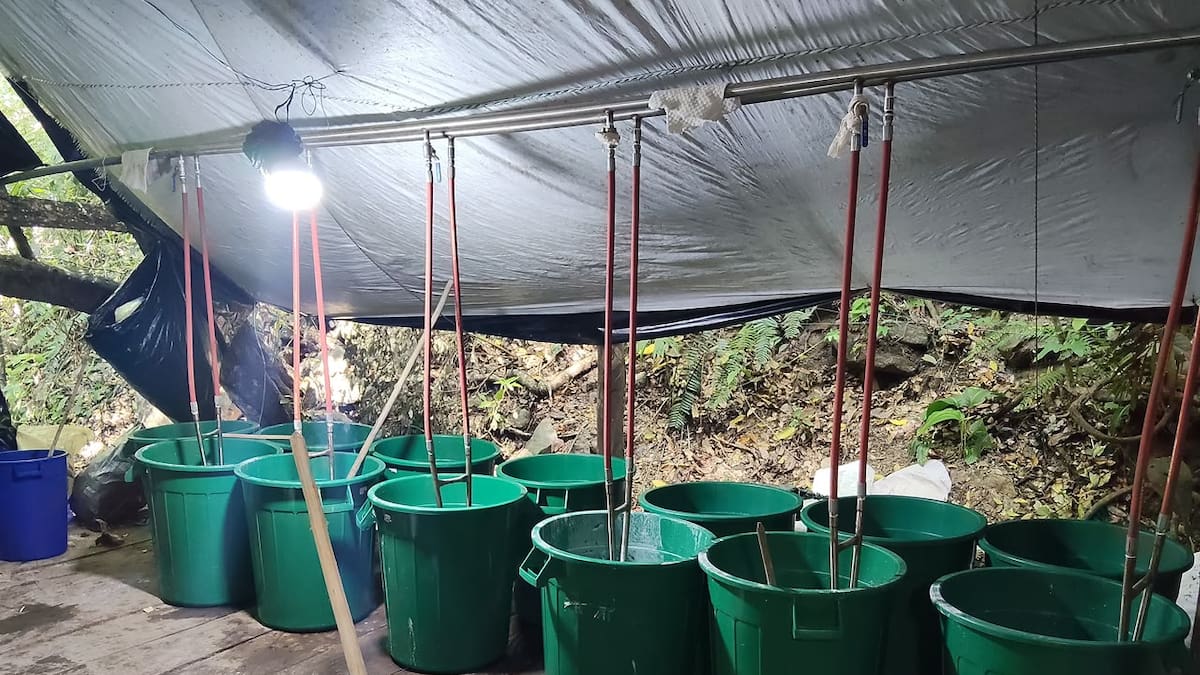 Ejército desmanteló laboratorio del ELN en Norte de Santander