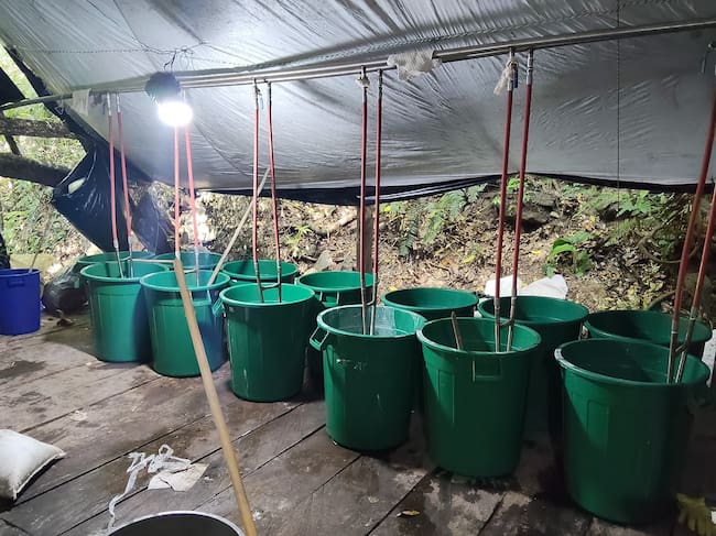 Ejército desmanteló laboratorio del ELN en Norte de Santander. / Foto: Ejército.