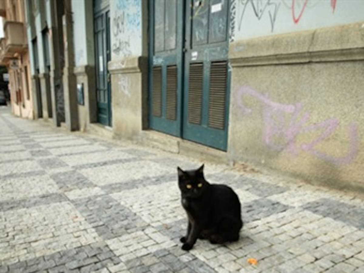 Las 10 supersticiones más comunes