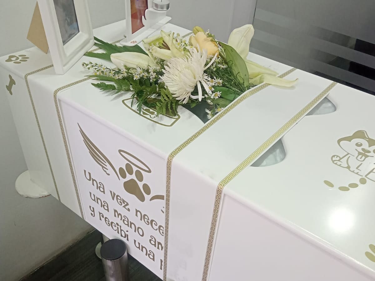 El dolor de una familia por maltrato al cadáver de su perro