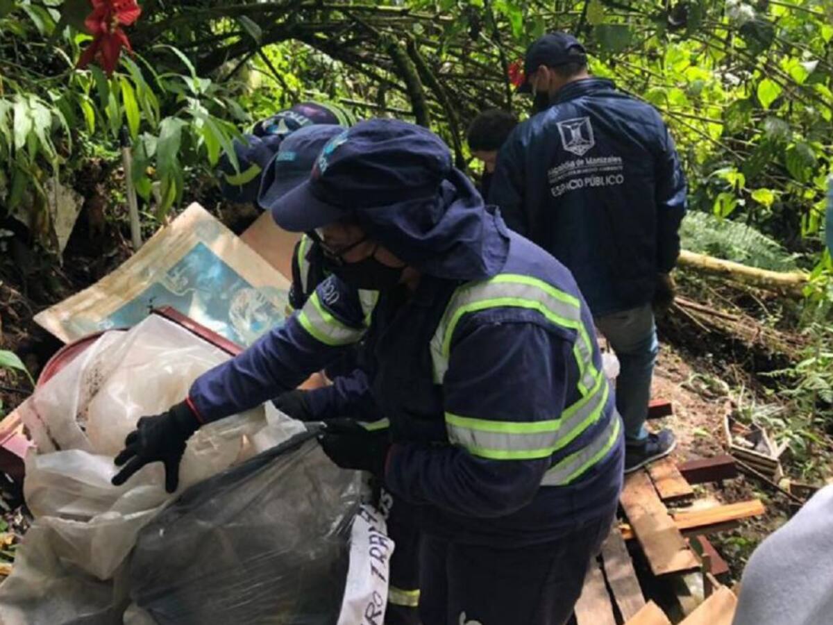 Recuperación integral en las laderas de Manizales