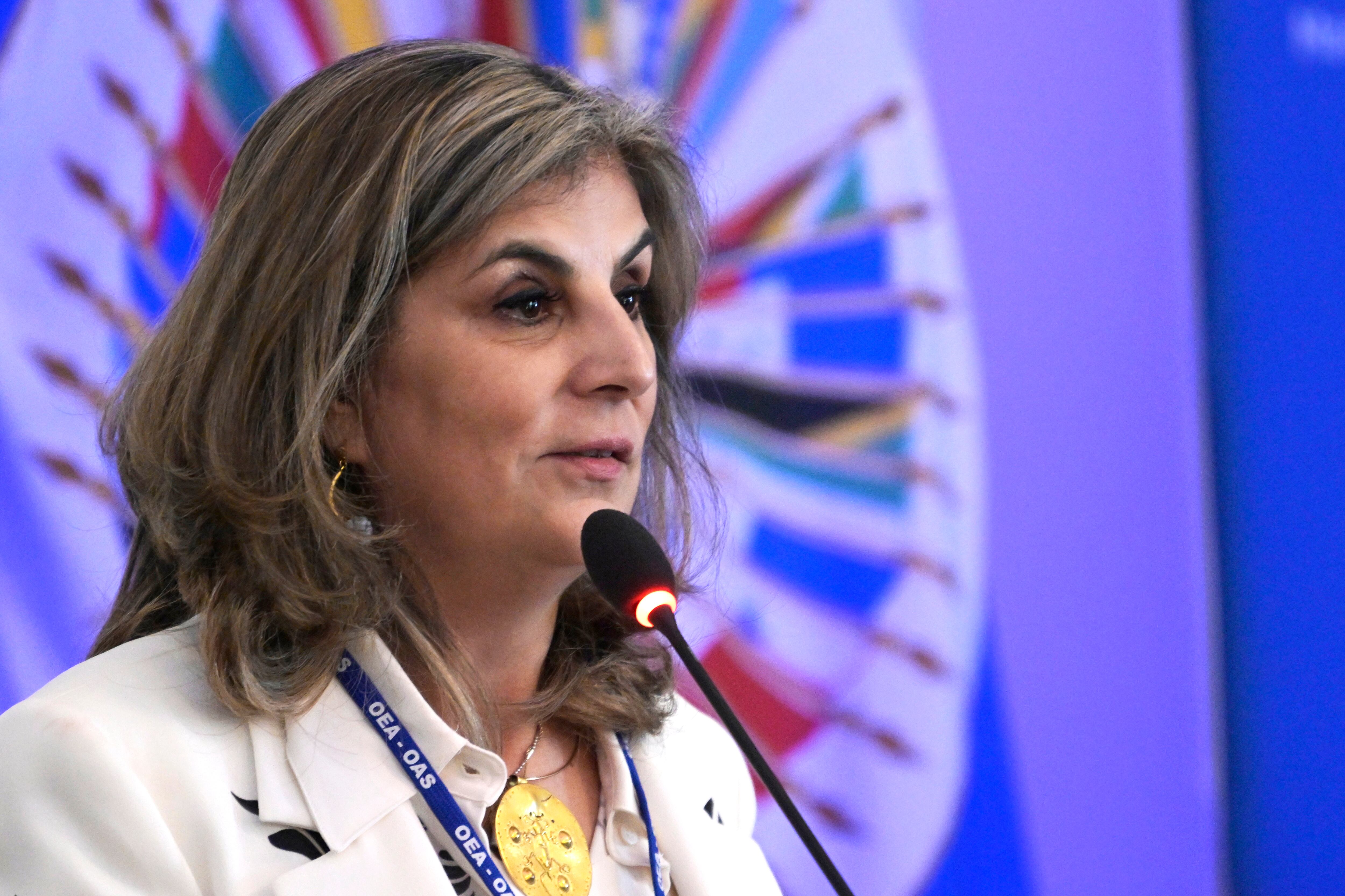 Laura Gil, nueva secretaria adjunta de la OEA. Foto: EFE/Lenin Nolly