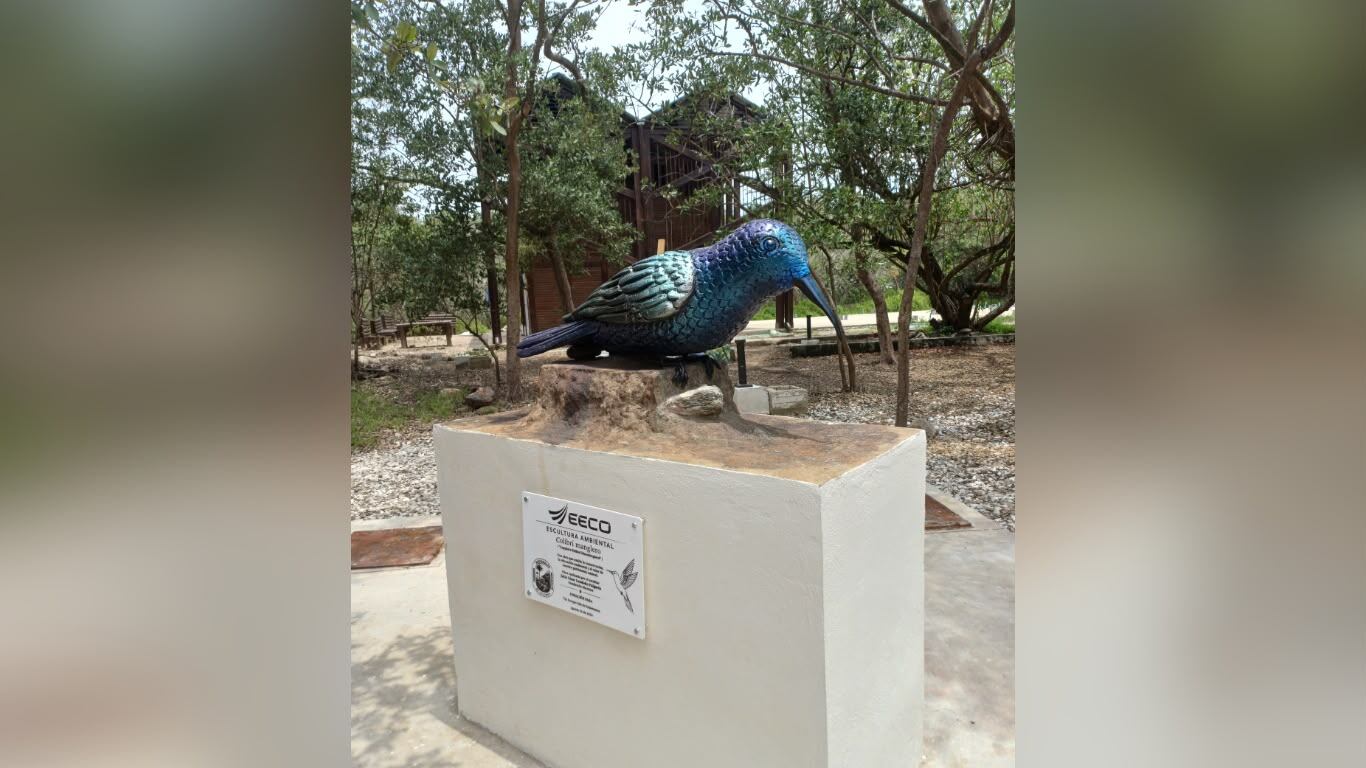Parque Isla Salamanca inaugura su primera escultura, dedicada al colibrí manglero. Foto: Caracol Radio