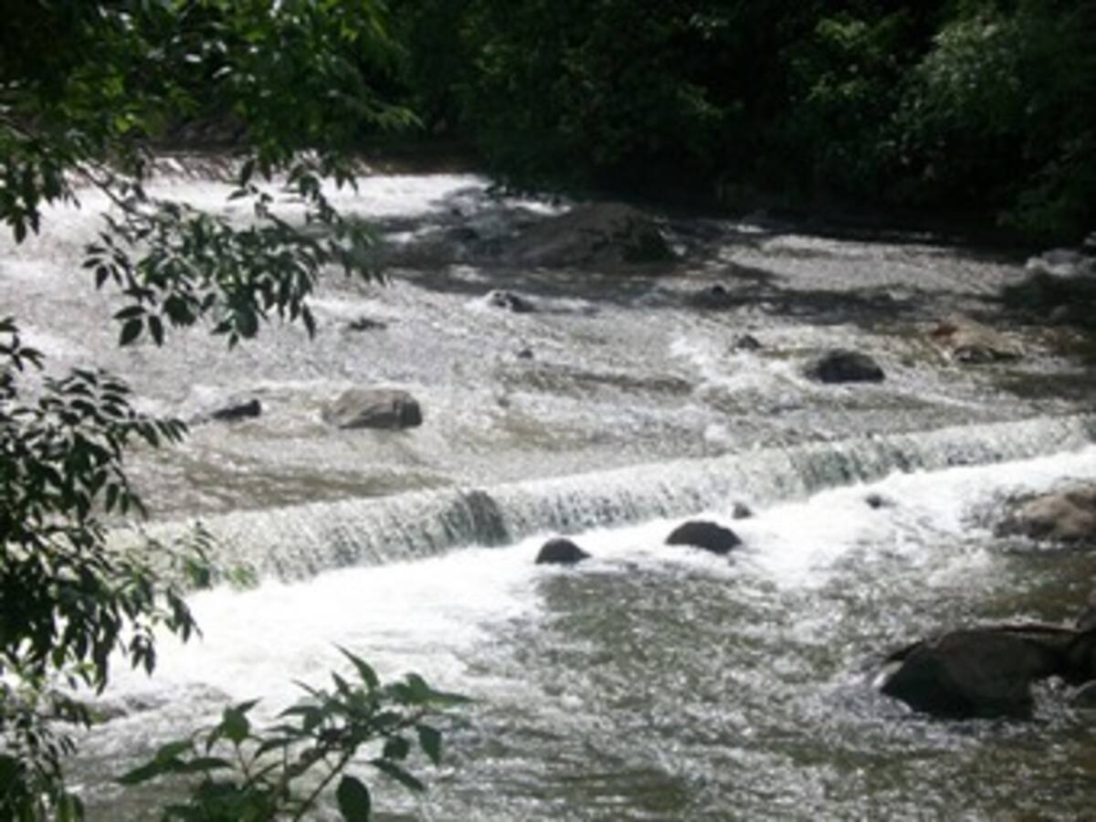 En Quindío 16 familias están incomunicadas por caída de un puente