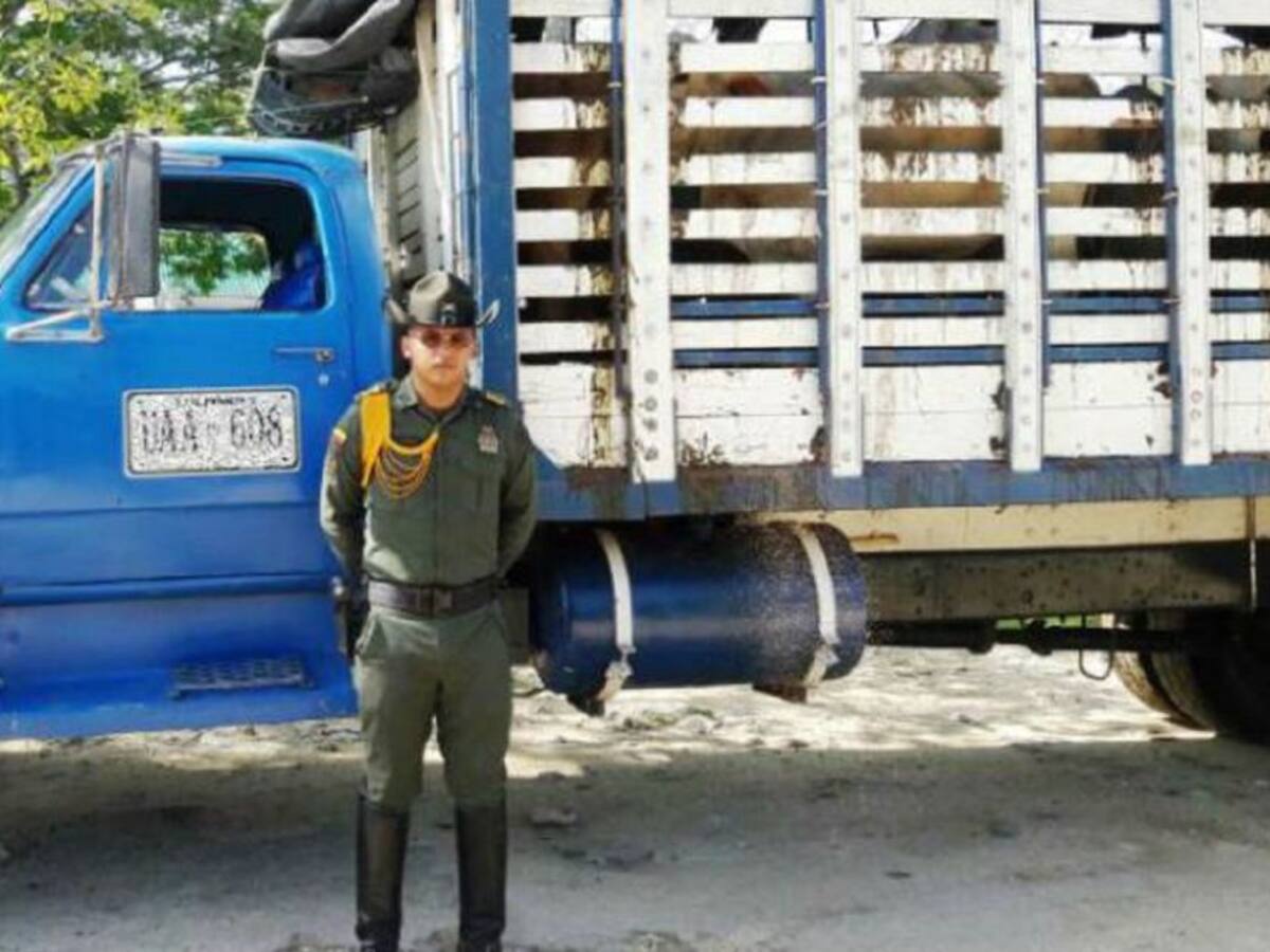 Carabineros y guías caninos se toman las zonas rurales de Cartagena