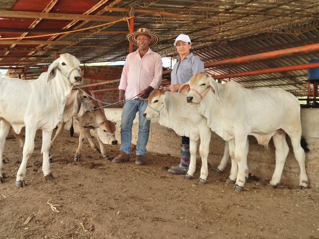 El proyecto beneficiará a 200 productores de 10 municipios. Foto Relacionada