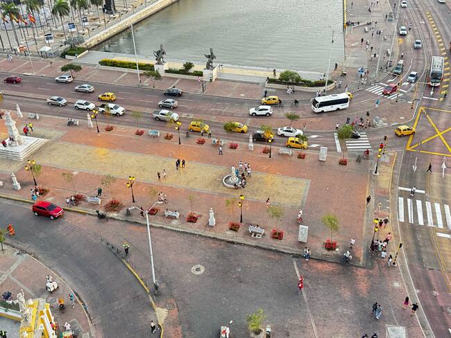 19 especies con plagas parasitarias fueron retiradas del Camellón de los Mártires