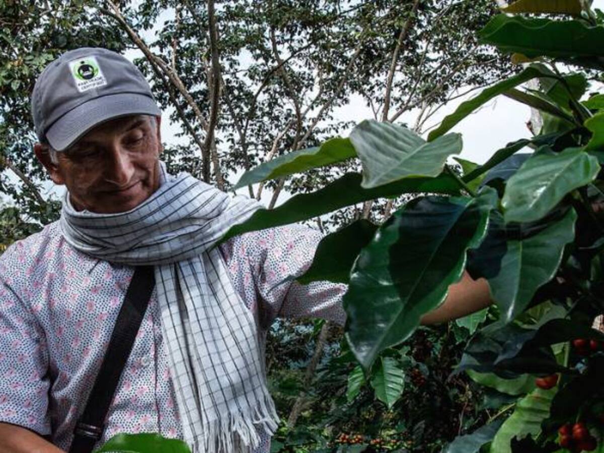 Líderes cafeteros proponen que recursos de subsidios asistenciales se direccionen para el campo