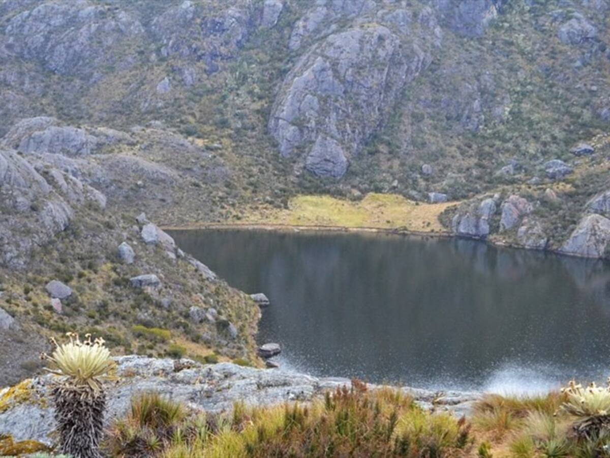 Hoy se reanudan audiencias de seguimiento al proceso de Santurbán