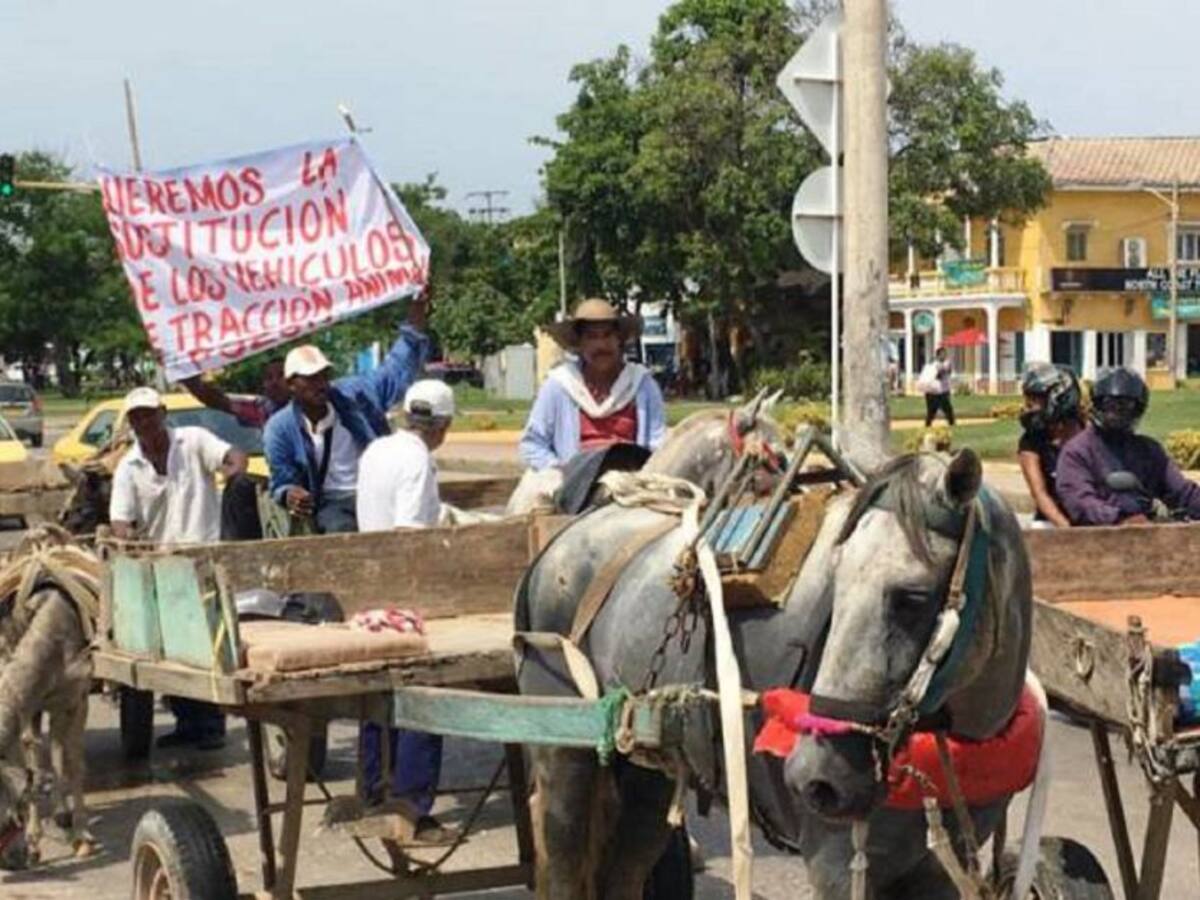 Abrieron incidente de desacato contra Dau por no sustitución de carromulas