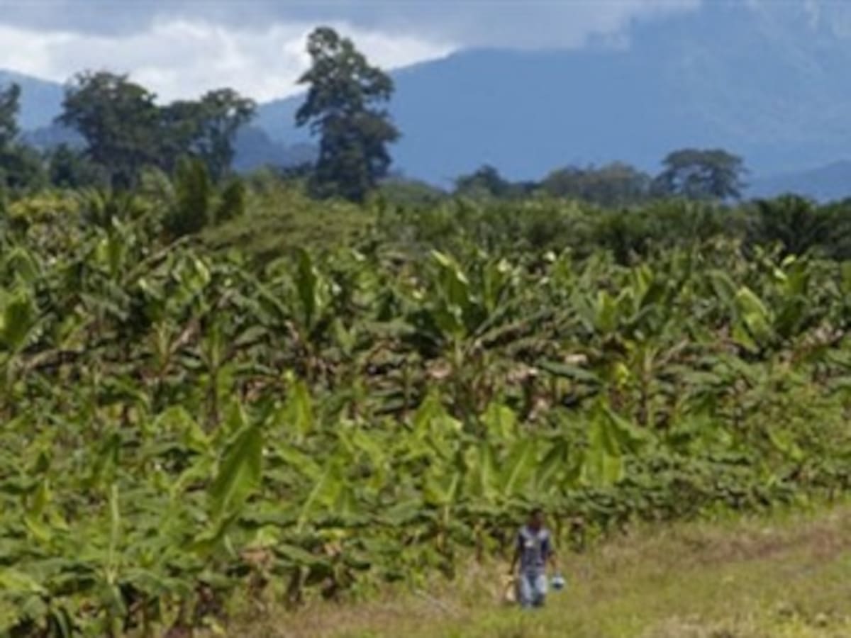 Santos declara objetivo militar a quienes amenazan a los líderes de tierras