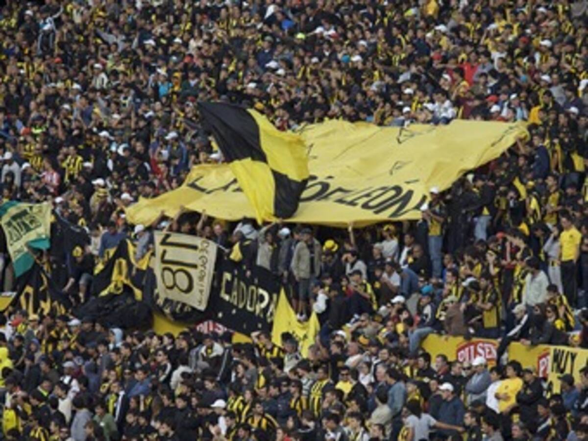 Barras futboleras podrían disminuir agresividad con musicoterapia