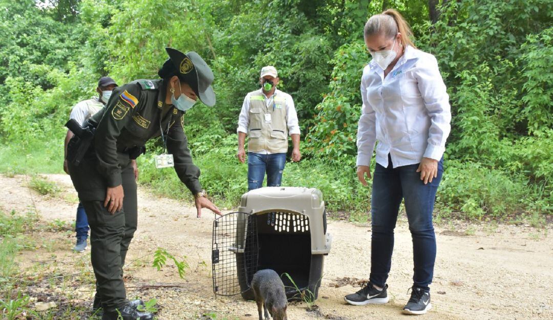 La jornada se realizará este lunes 4 de octubre en el parque frente a la Casa de Justicia del Country, a partir de las 9:00 a.m