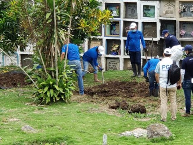 JEP logra nueve hallazgos forenses en Dabeiba, Antioquia