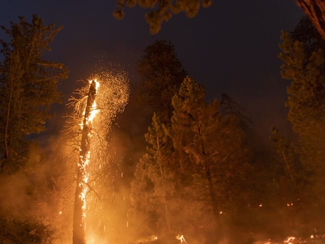 Decenas de desaparecidos dejan los incendios en la costa oeste de EE.UU.