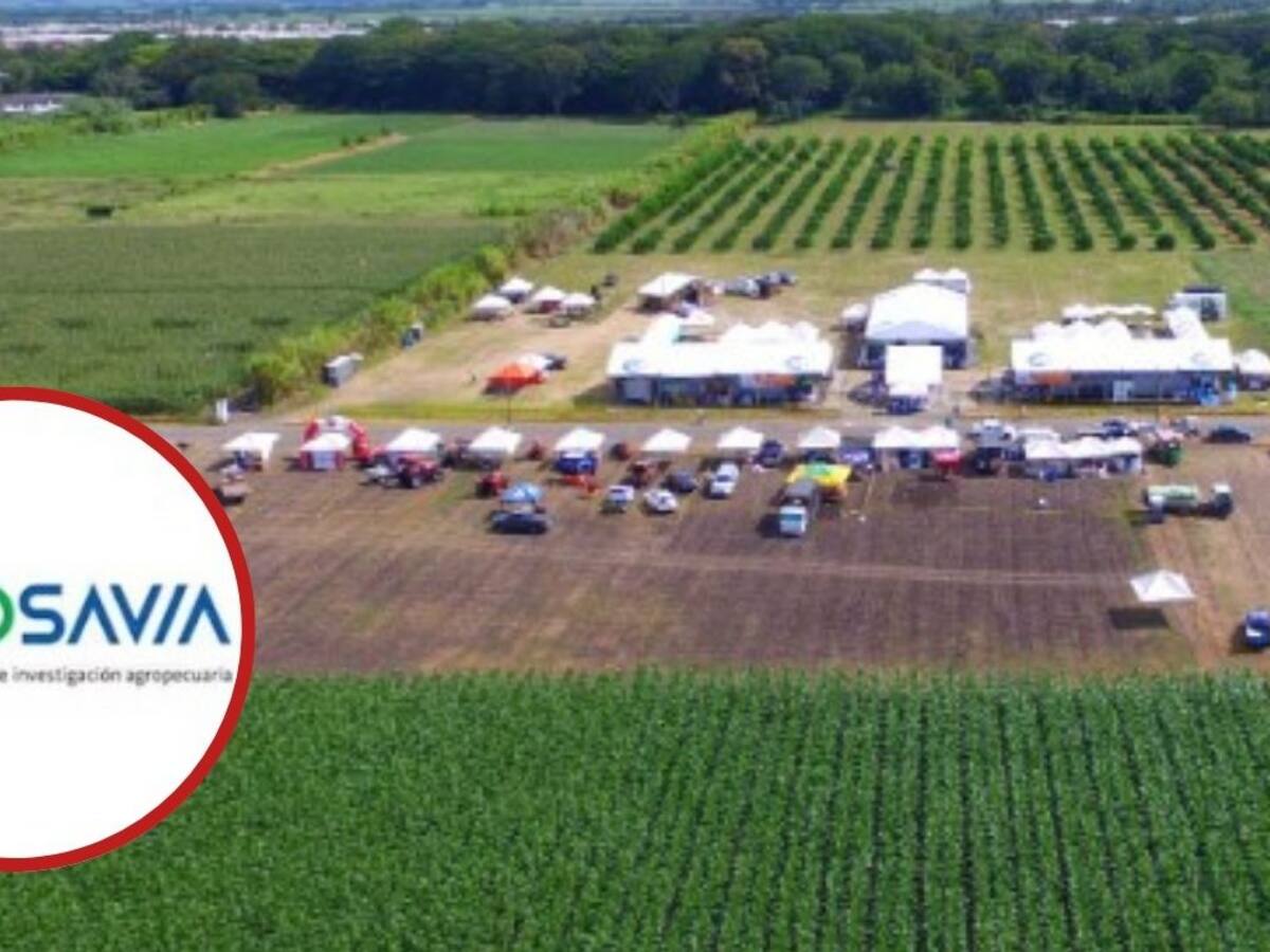 Trabajadores de Agrosavia también protestan en Bucaramanga por recorte de presupuesto