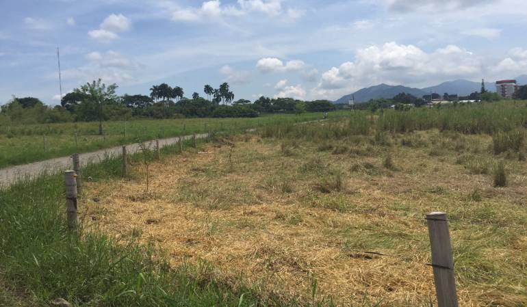 En este terreno se planea el desarrollo complementario de Ukumarí.