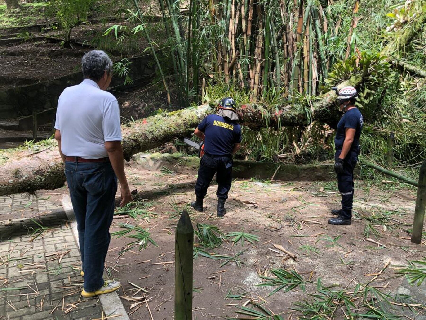 Emergencia en el Parque Centenario de Ibagué