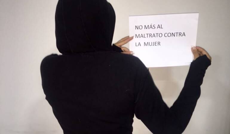 Se pide a la Alcaldía de Ibagué habilitar una casa refugio en Ibagué