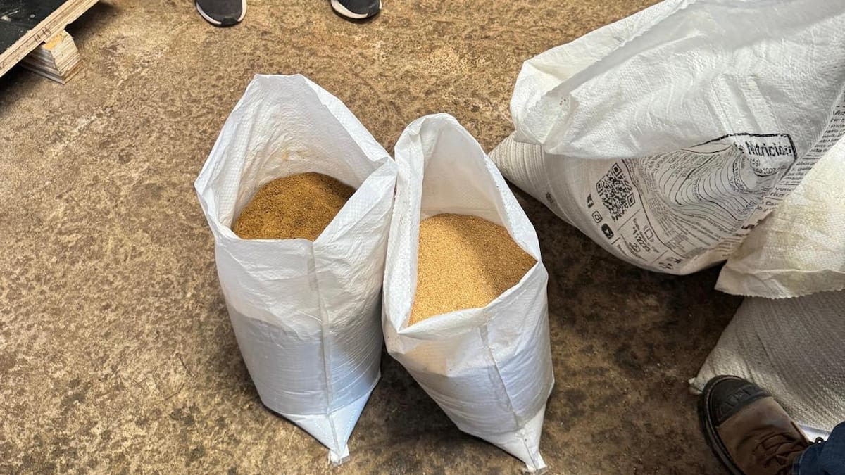 Exitoso emprendimiento hondureño logra reutilizar aceite de cocina