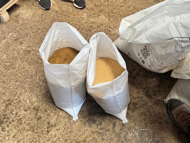 Exitoso emprendimiento hondureño logra reutilizar aceite de cocina