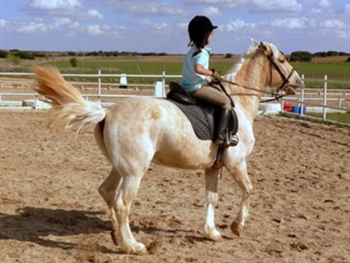 Una menor murió y otra resultó herida al caer de un caballo en los Palmitos, Sucre