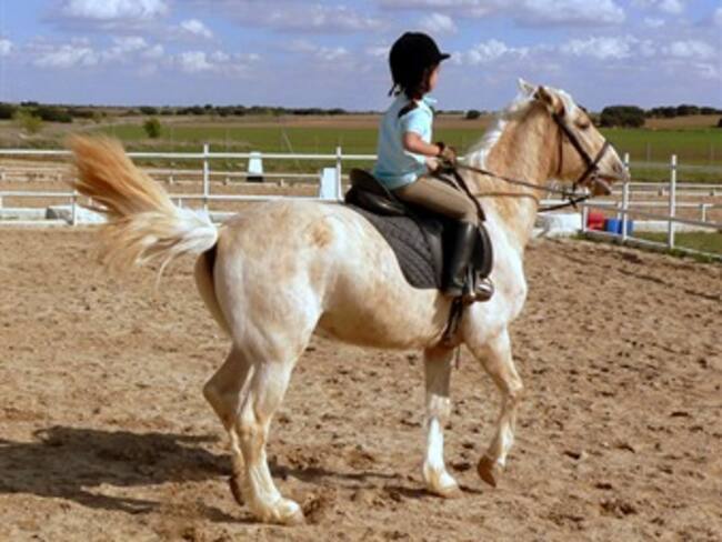 Una menor murió y otra resultó herida al caer de un caballo en los Palmitos, Sucre