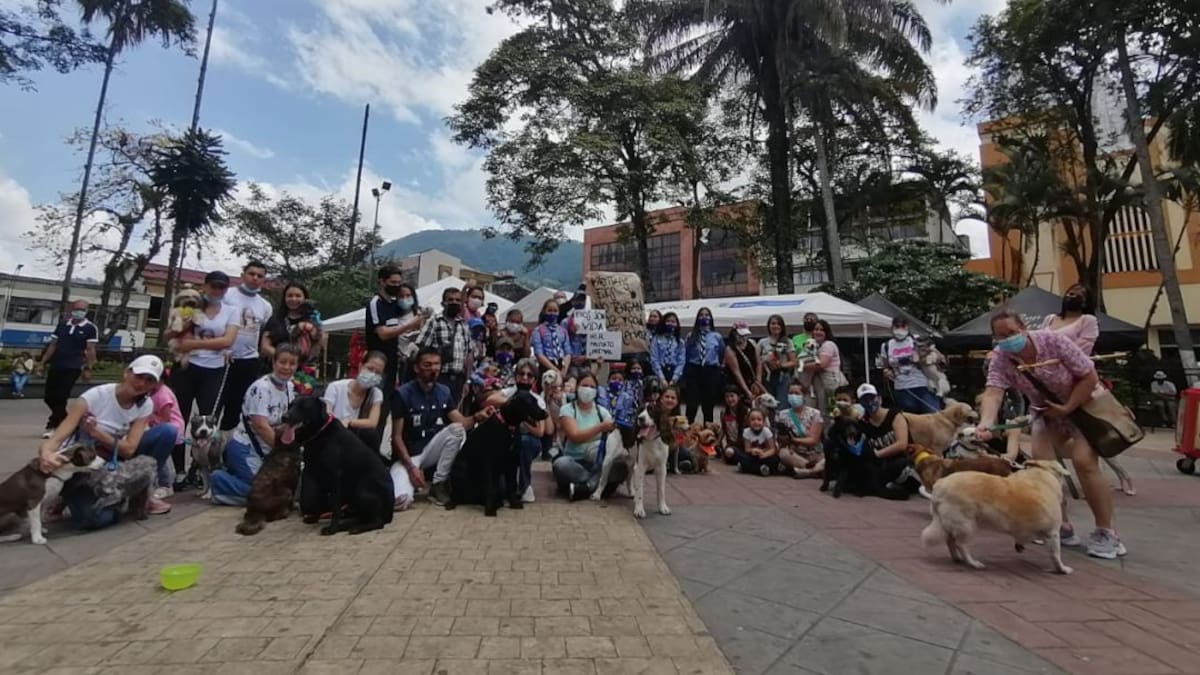 Cristina Arbeláez, concejal animalista del Quindío
