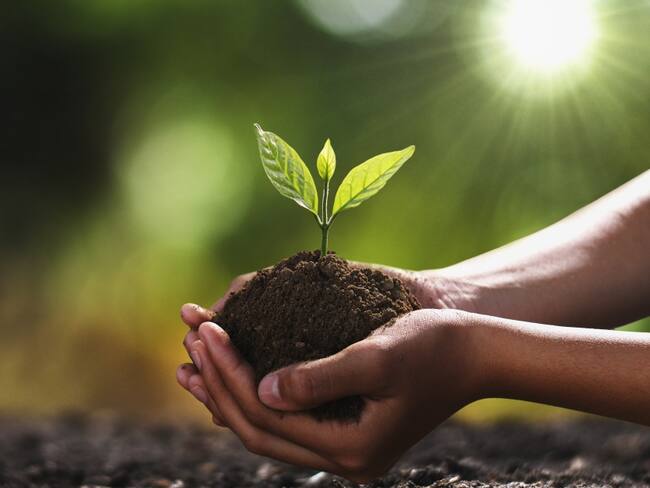 Adopta un árbol con Casa Museo Tequendama