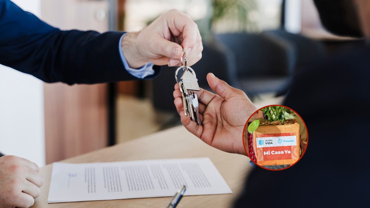 Imagen de referencia - Ministerio de Educación.