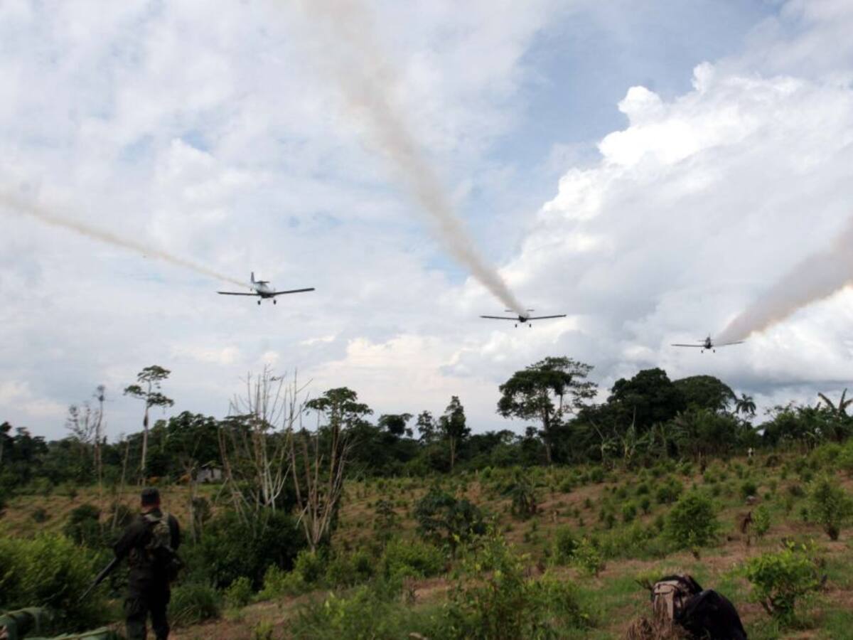 Los reparos de la Procuraduría a la aspersión con glifosato