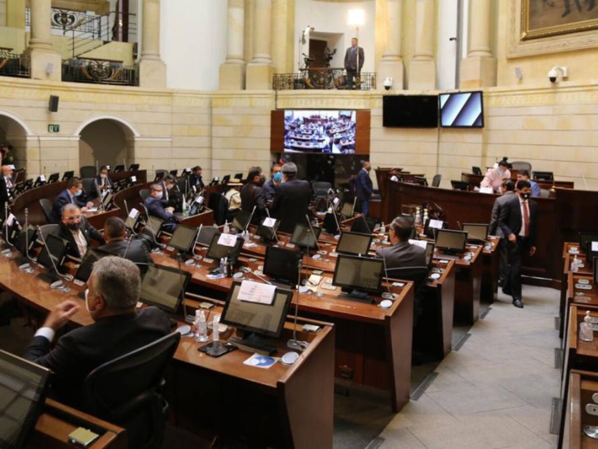 Avanzó en el Congreso proyecto para prohibir las semillas transgénicas
