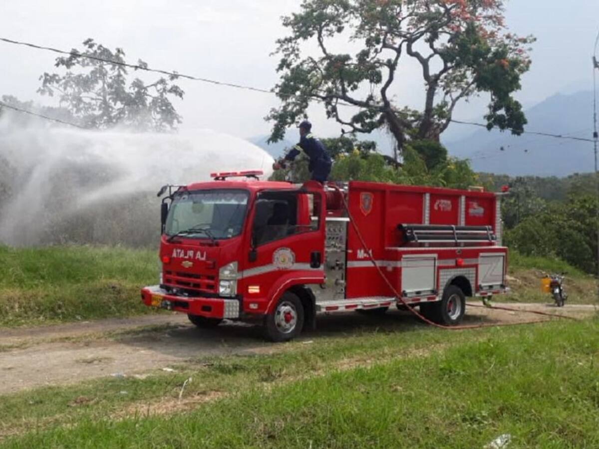¿Qué podemos hacer en caso de incendios forestales?