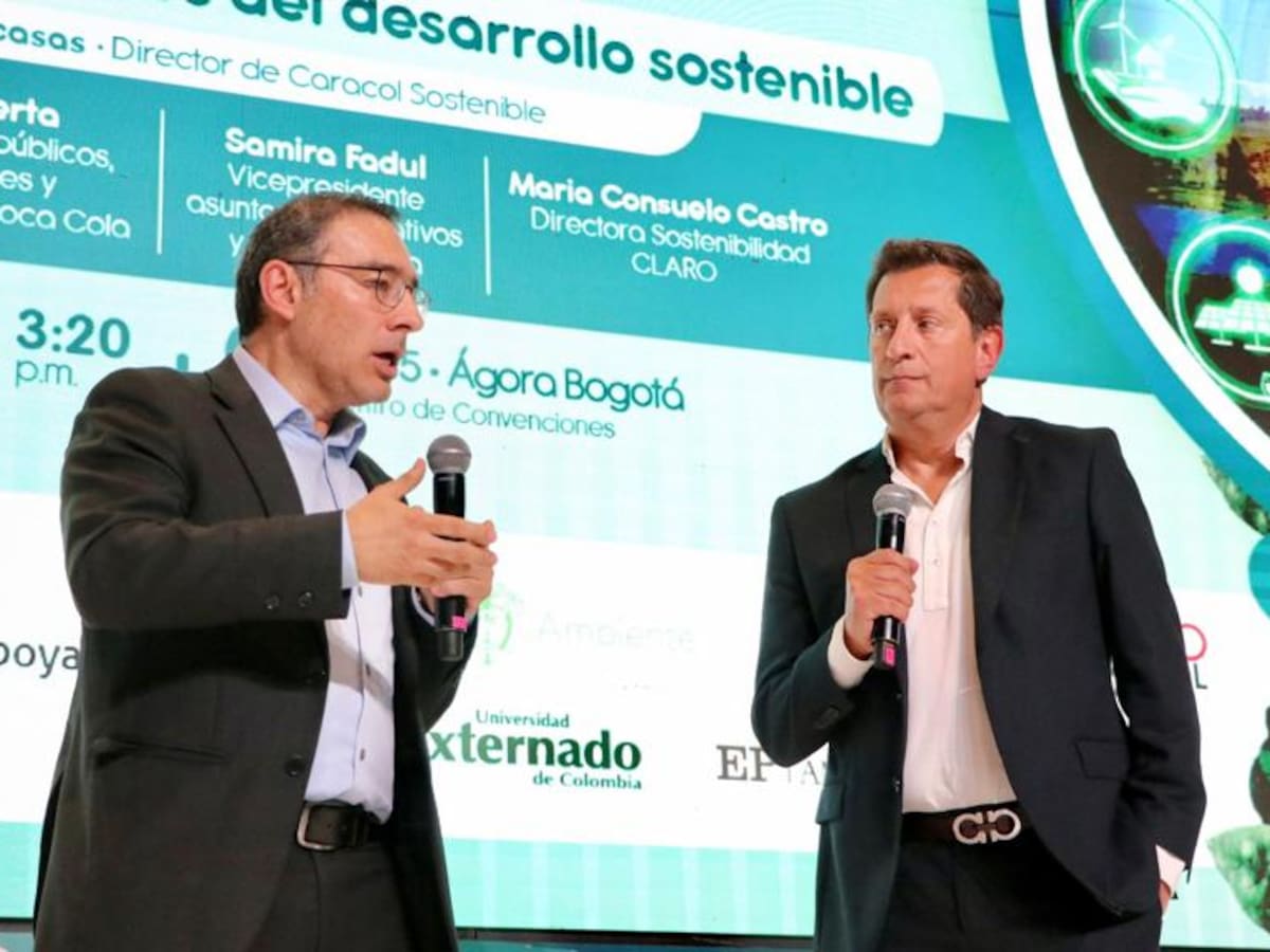 ¿Cuáles son los desafíos del sector privado en el desarrollo sostenible?