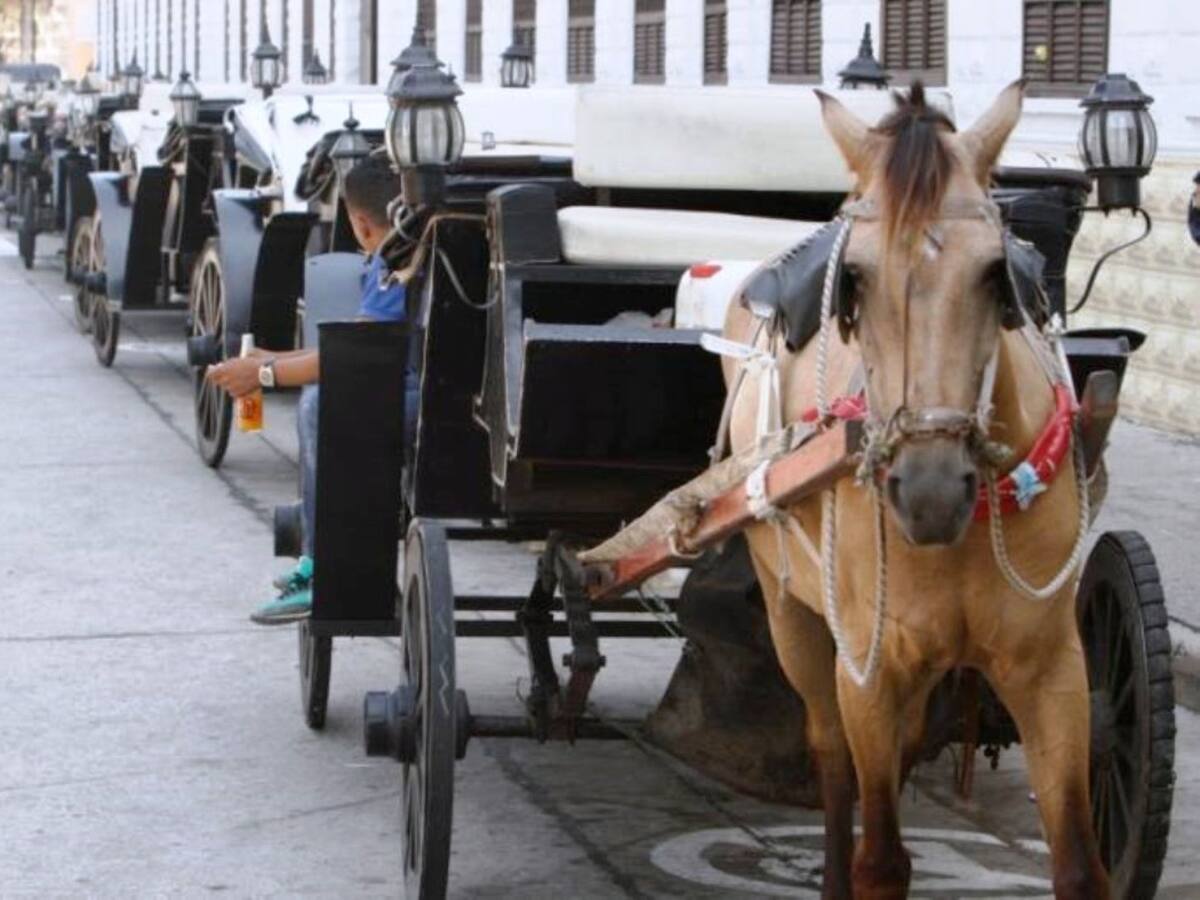 Vehículos eléctricos reemplazarán los de tracción animal con fines turísticos en Cartagena