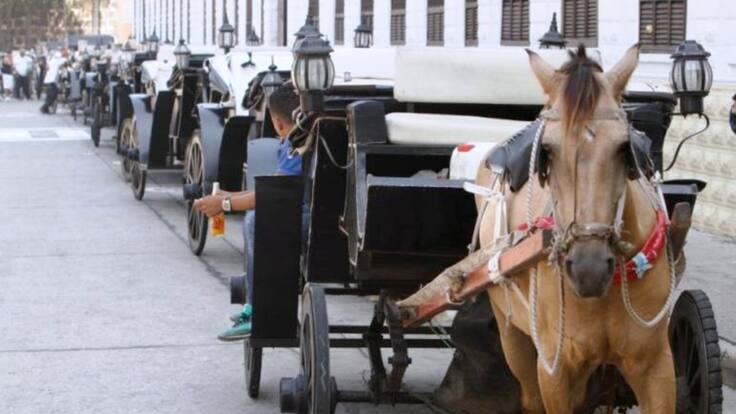 Vehículos eléctricos reemplazarán los de tracción animal con fines turísticos en Cartagena