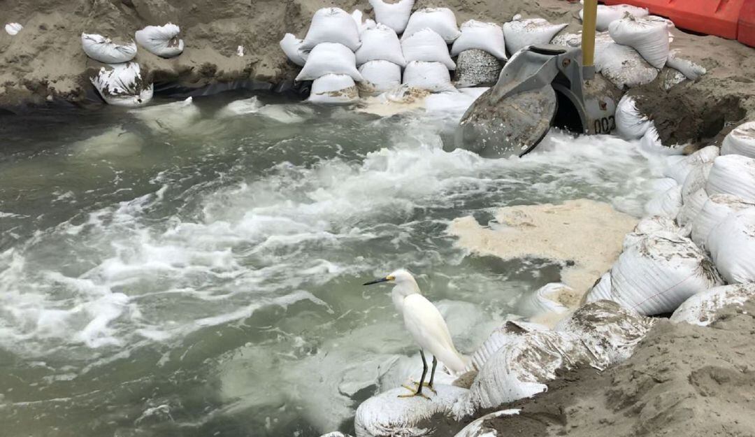 EPA y Aguas de Cartagena inspeccionan tuberías que contaminan El Laguito