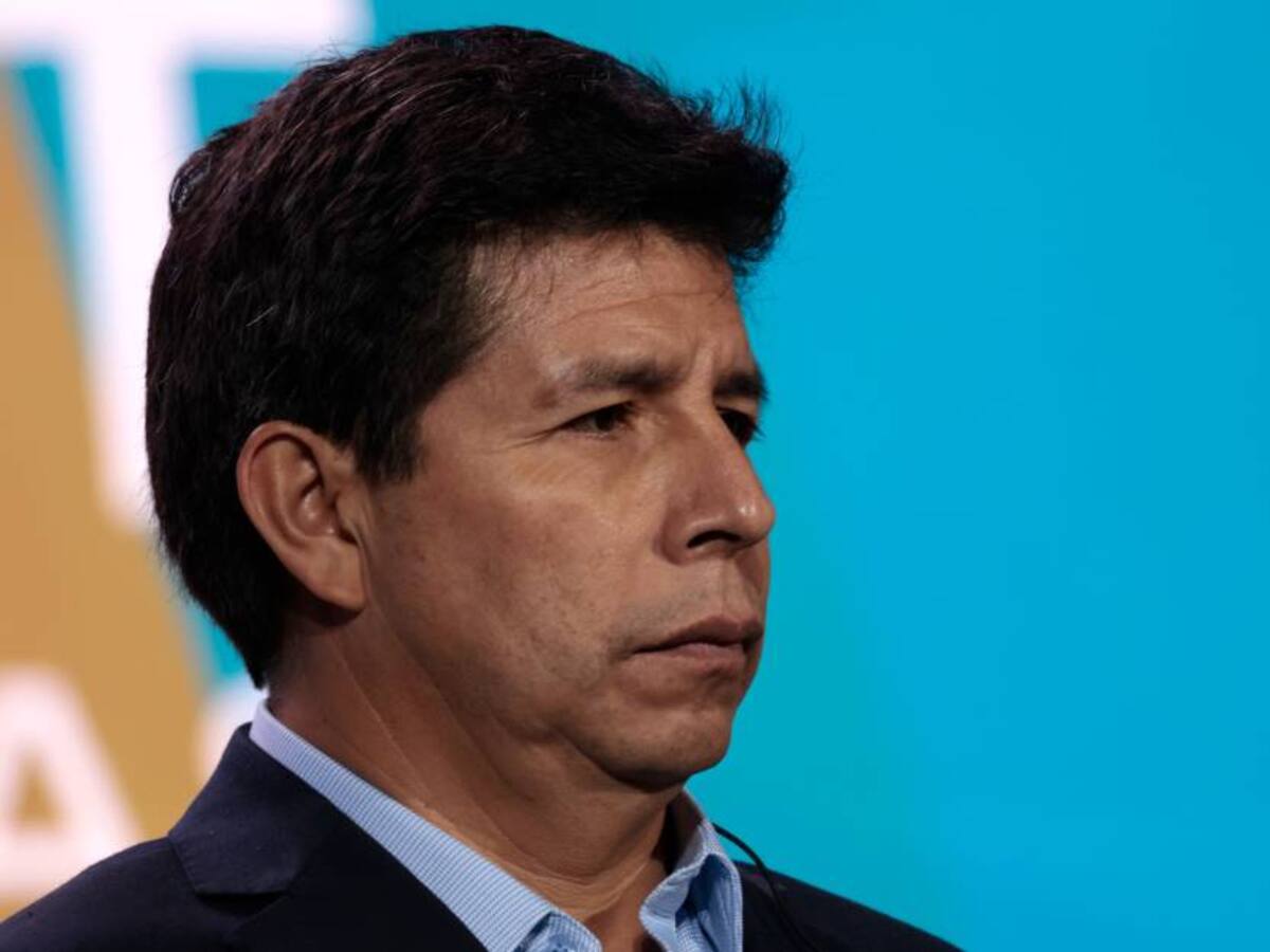 Castillo agradeció respaldo de algunos gobiernos latinoamericanos a su mandato