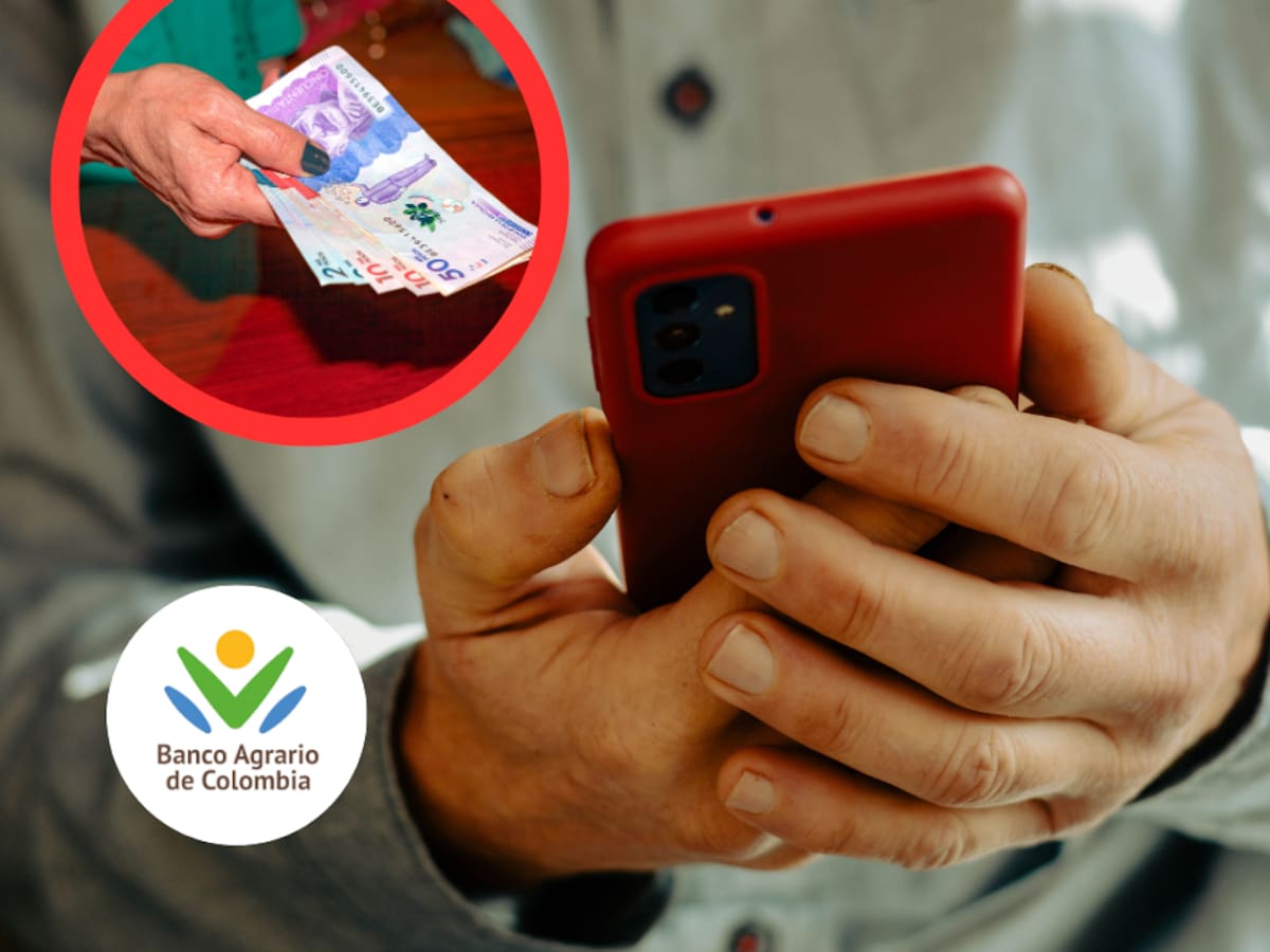 Conozca la billetera virtual del Banco Agrario: requisitos para que sea libre de 4x1000