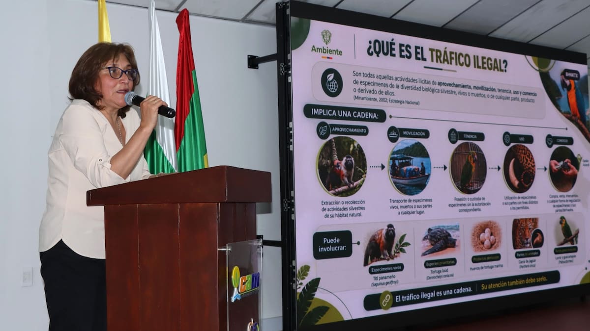 Huila refuerza la lucha contra el tráfico ilegal de fauna silvestre con estrategia regional