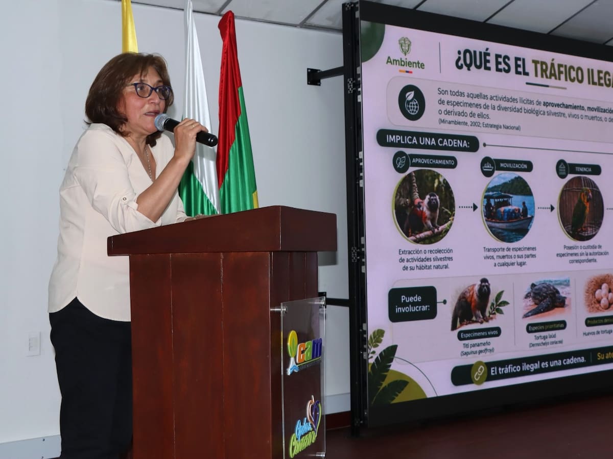 Huila refuerza la lucha contra el tráfico ilegal de fauna silvestre con estrategia regional