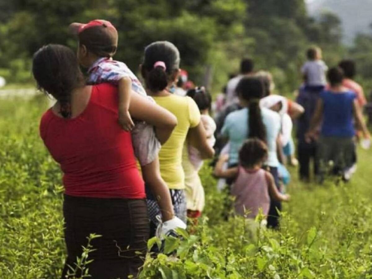 Marcado aumento de desplazamiento en el Caquetá
