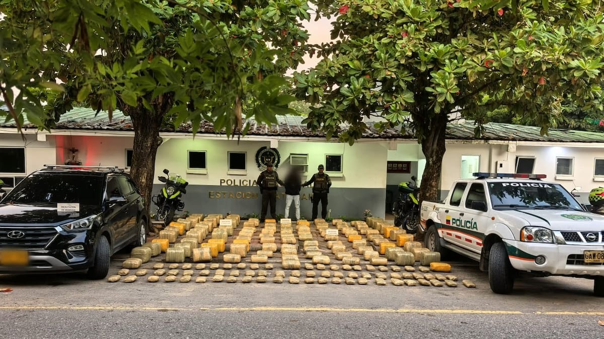 Policía incautó cargamento de 445 kilos de marihuana en vías del Tolima